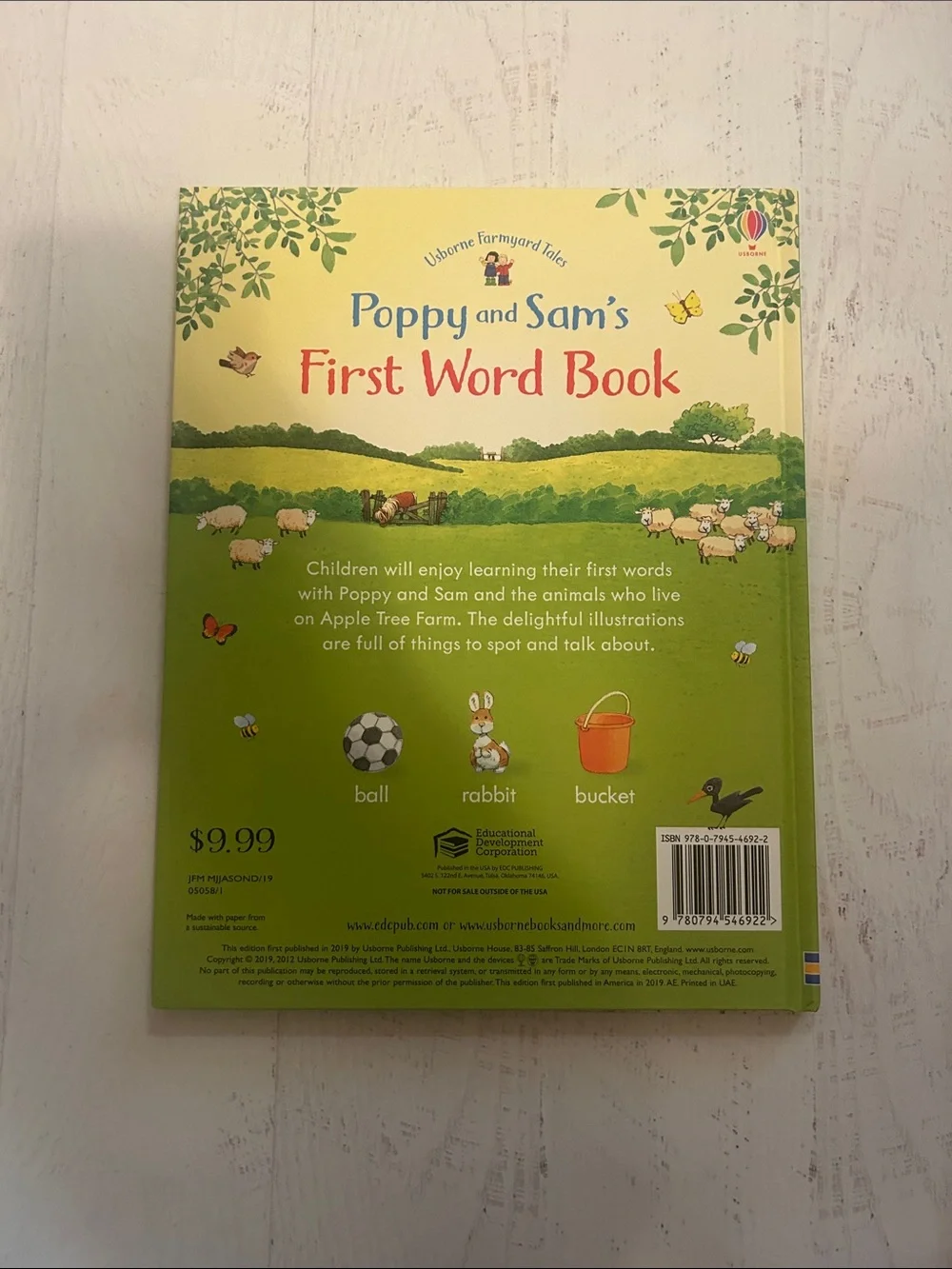 Usborne Poppy and Sam's First Word Book